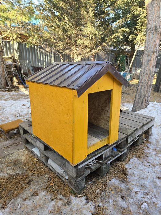 Продаётся собачья будка (канура)