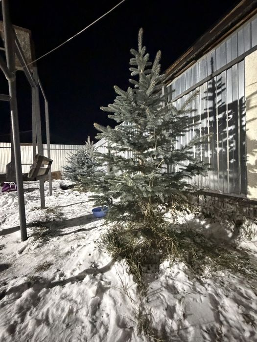 Продается времянка с баней 15.5  млн торг