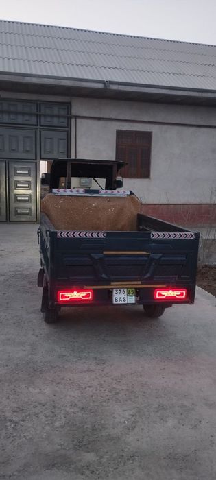 Drongo electron muravey