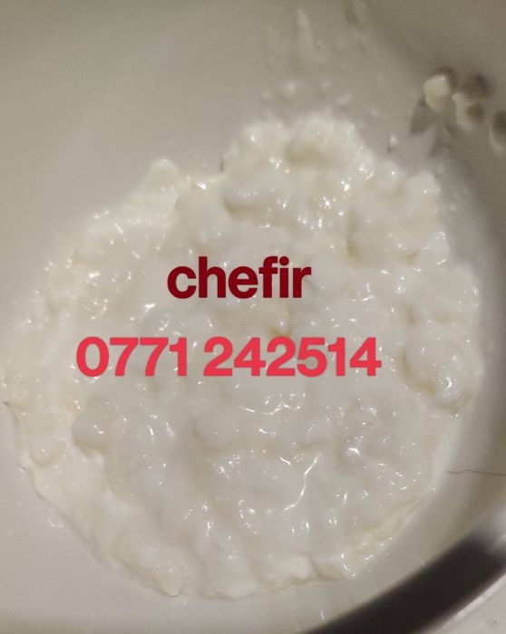 Vând kefir, chefir cultura originala
