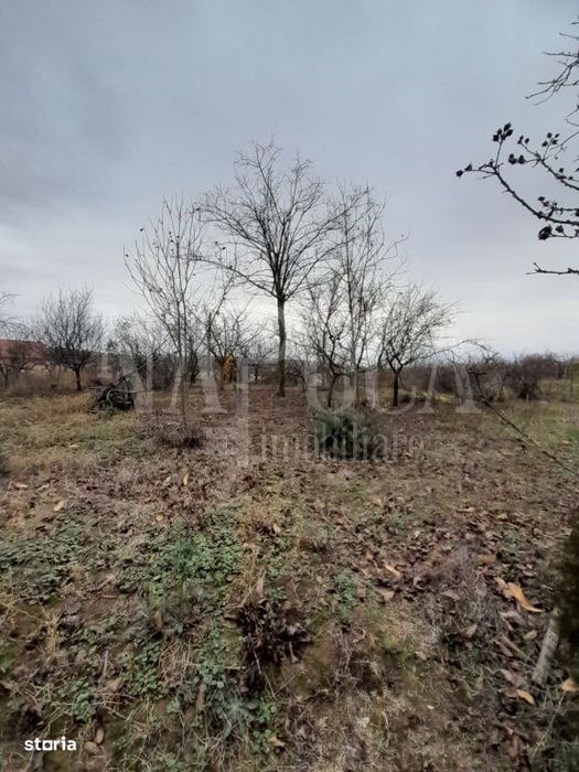 Teren intravilan pentru constructii de vanzare in Paleu, Oradea