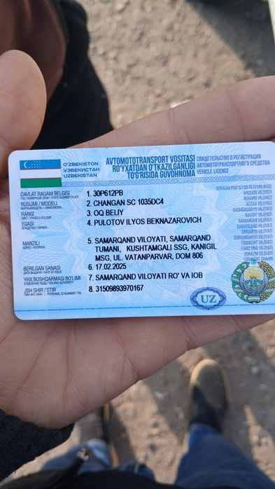 Чанган 99 2016 зур