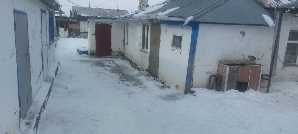 Дом на двух хозяев