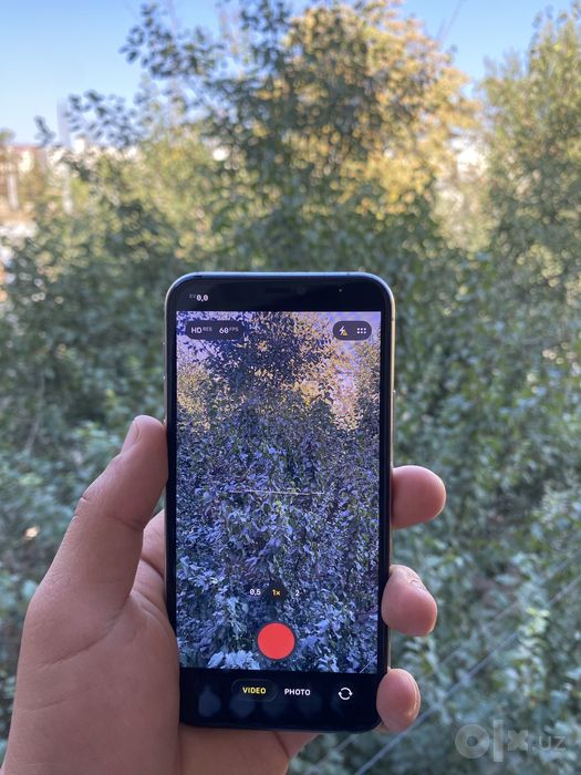 iPhone 11 Pro (White)