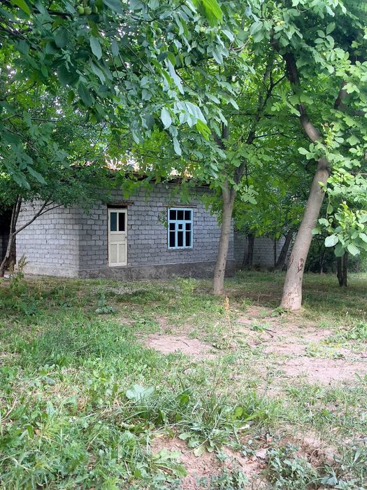 Boʻstonliq tumani sijjak qishlogʻi