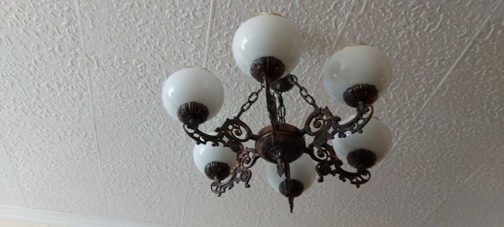 Полилей кована мед