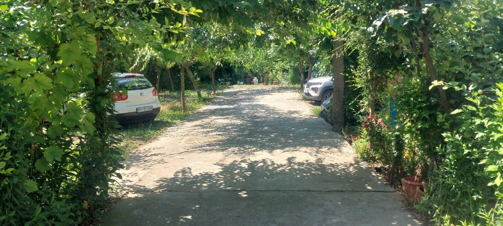 Cazare Costinesti /Nibiru(camere pentru toate buzunarele)