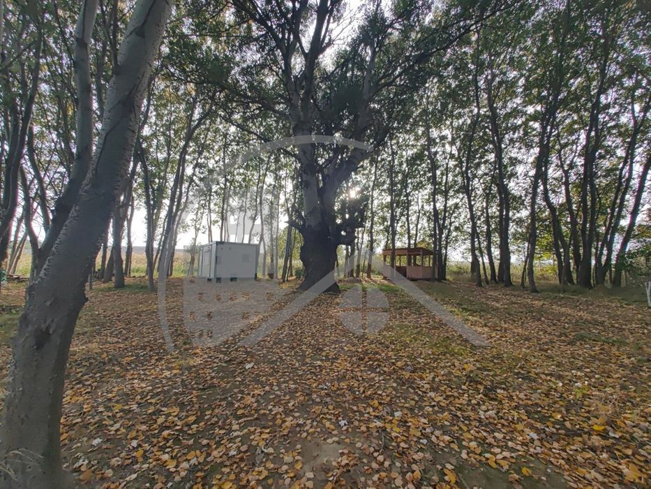 Продава се Парцел в с. Тополи, Област Варна - 5639 кв.м за 6 €/кв.м - Снимка #2