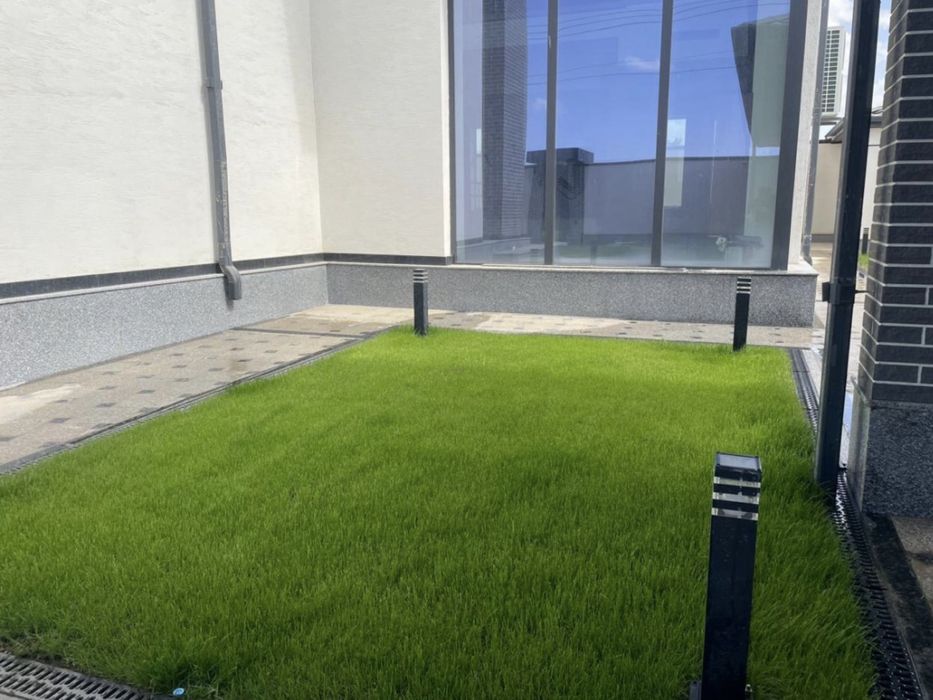 Газон,автополив,полив