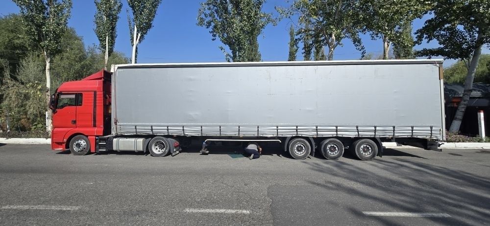 MAN tgx & wielton