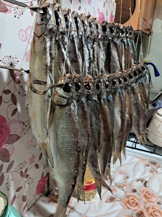 Рыба сушоная вобла и рыбец