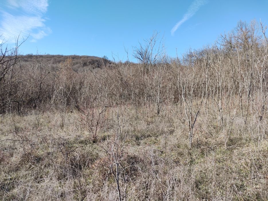 Земеделски имот Шереметя