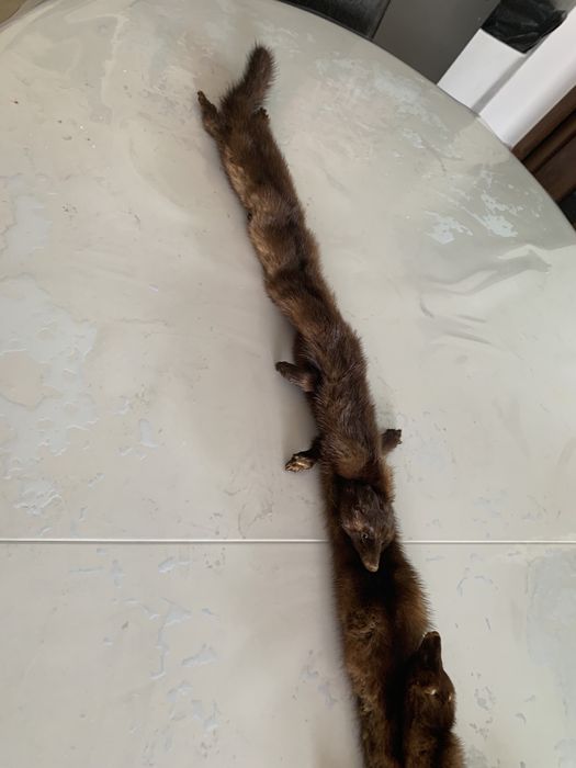 Gulere din blana naturala