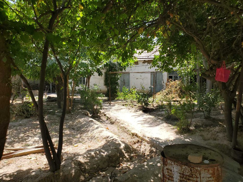 г. Самарканд - Уй - Ховли. Гиёсиддин Жамшид кучаси .