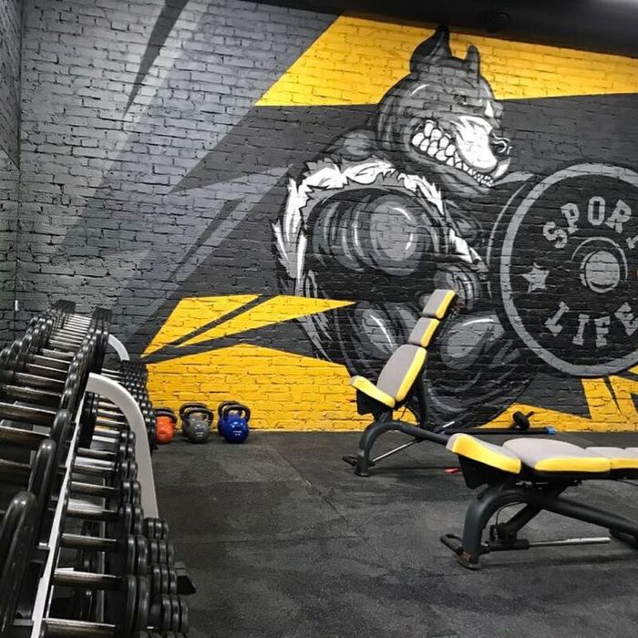 Роспись стен, мураллы, художники