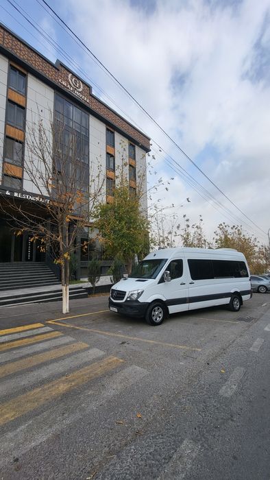 Спринтер на заказ, Sprinter, микроавтобус