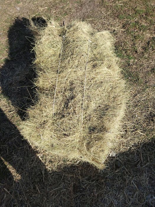 Продам хорошее сено.