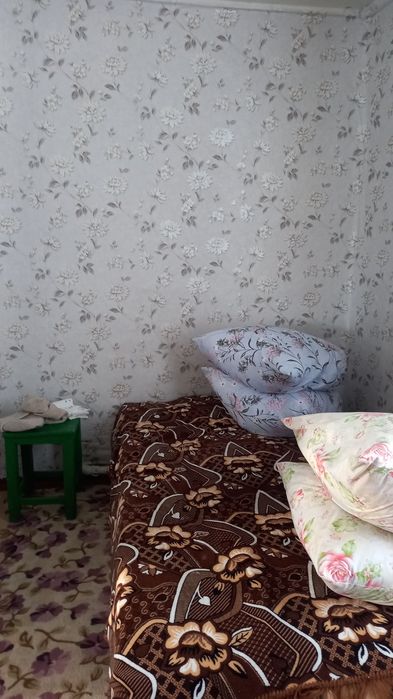 Продам дом в п.Бурлин