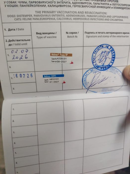 Продам немецкую овчарку