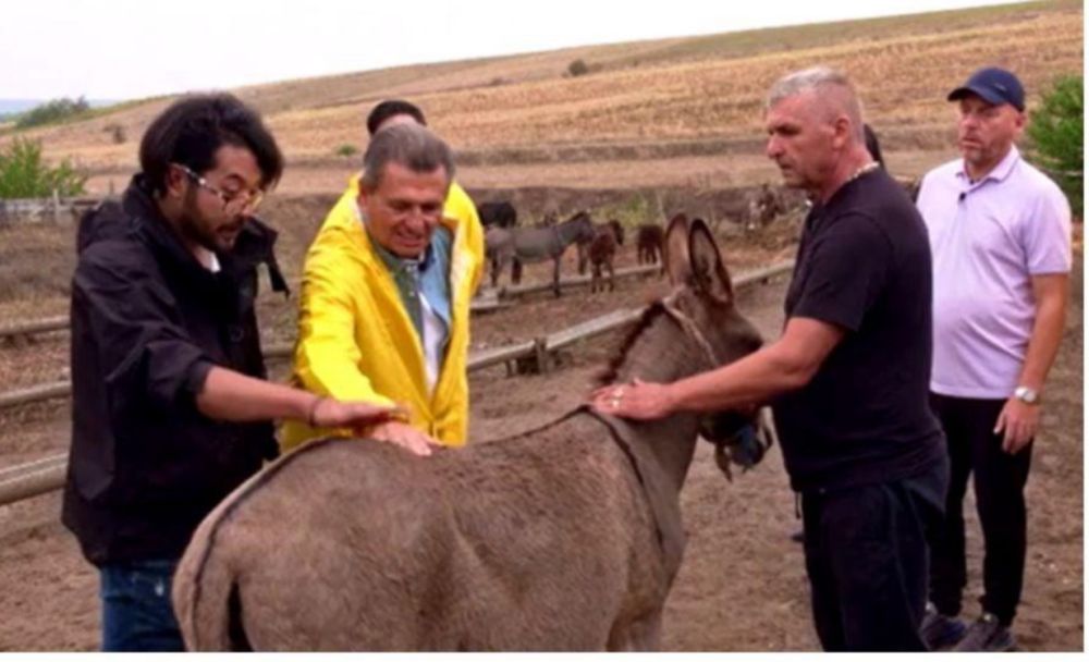 Lapte crud de măgărița!  !!!MULGEM IN PREZENTA DUMNEAVOASTRĂ!!!