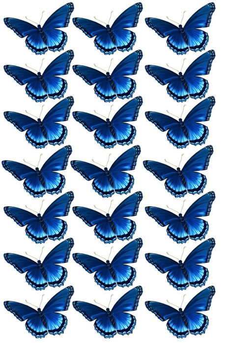 Guldasta uchun kapalak rasm