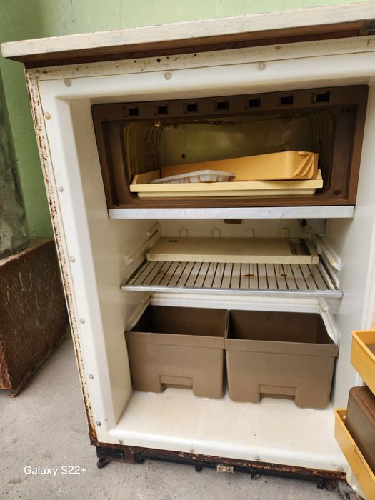 Holodelnik zudlik bilan sotiladi