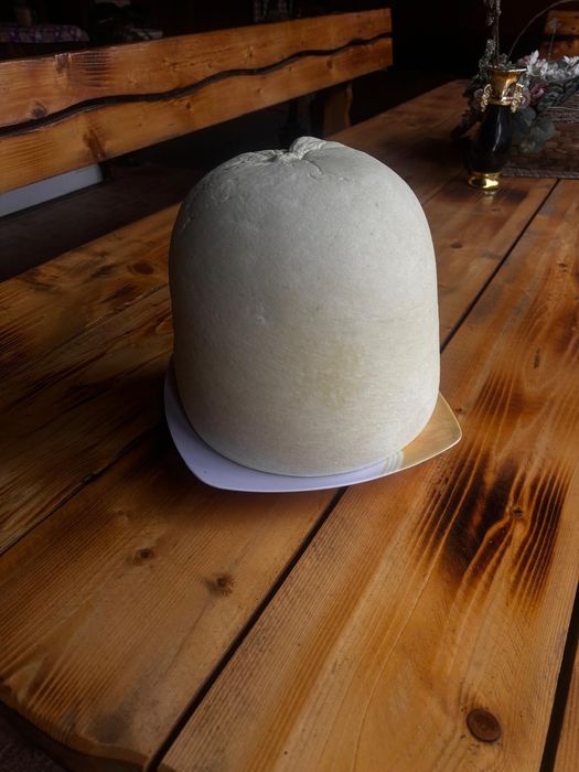 Caș oaie de vanzare