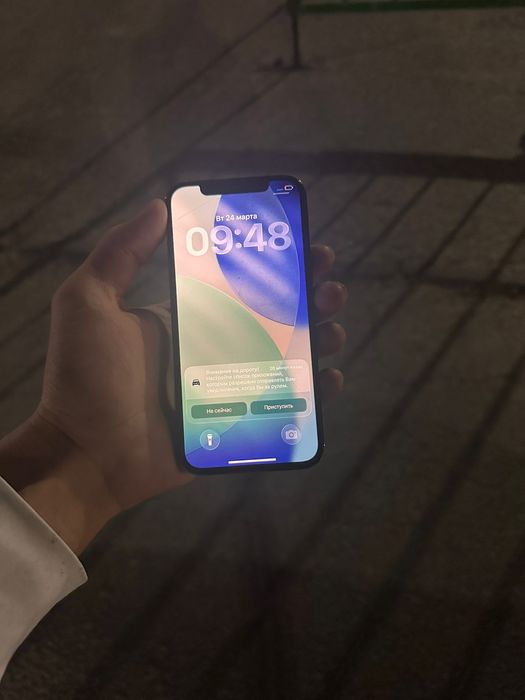 iPhone 12 Pro 128/100 аускан