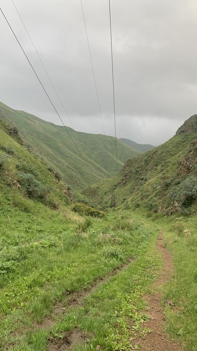 Участок 19,5 гектаров