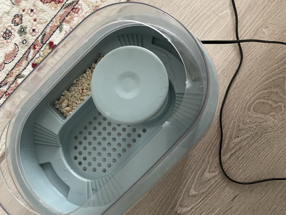 Продется черепахи