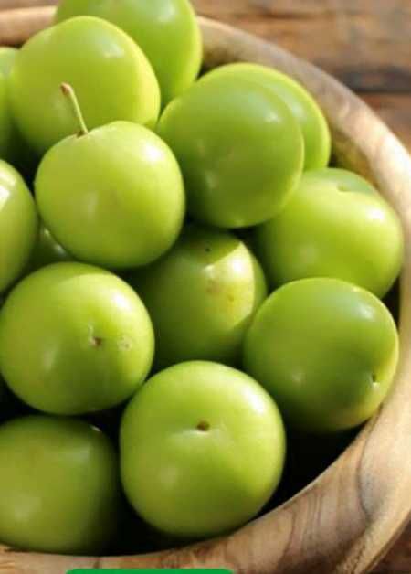 Саженцы для интенсивных садов сливы