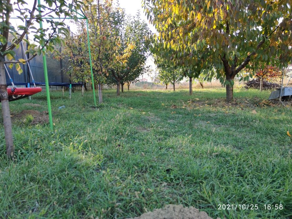 Teren 540 mp - Arad str. 6 Vanatori