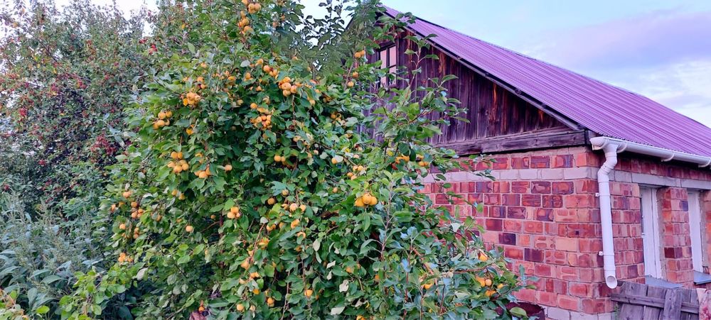 Продам дом село Набережное 50 км