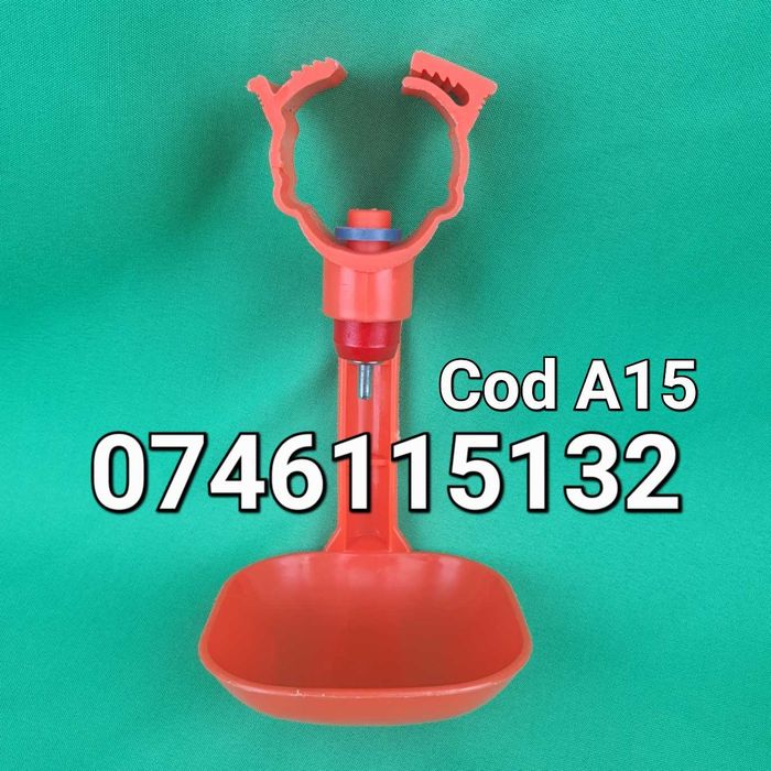 Gaini fazani curci fazani pasari rate paun-ADAPATORI PUI Cu Tavita-A15