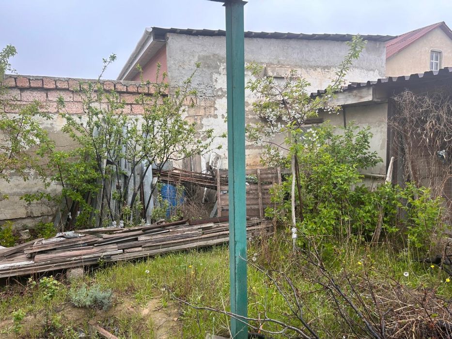 Ағаштар жеміс беріп тұрған сатамын.