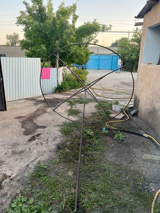 Зонтики  зонтики