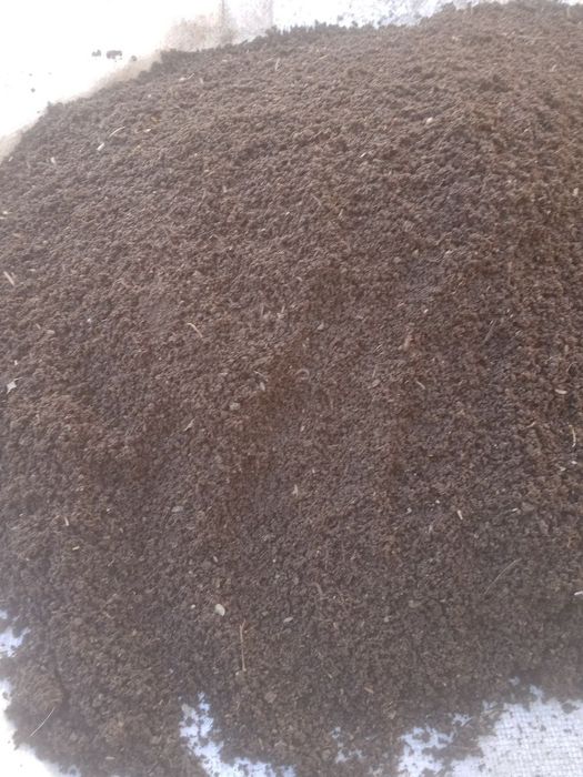 Biogomus ôğit toza ishonchli