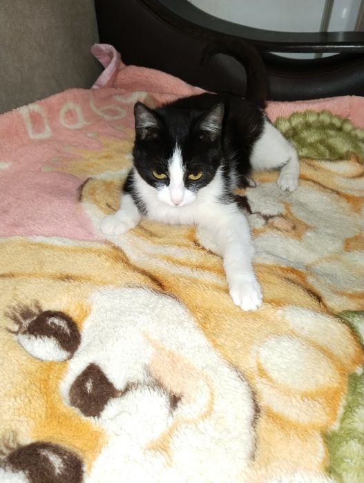 Красавица девочка Лада