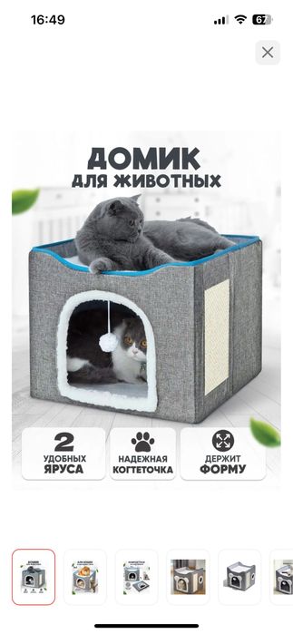 Продам котенка 4 месяца, девочка.