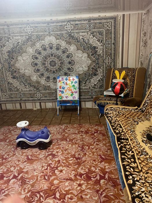 Продам дом на 2 хозяина.