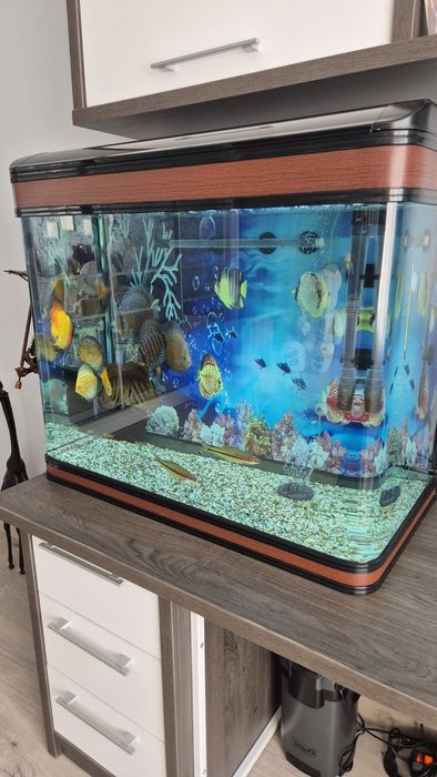 Продам аквариум на 200 литров.