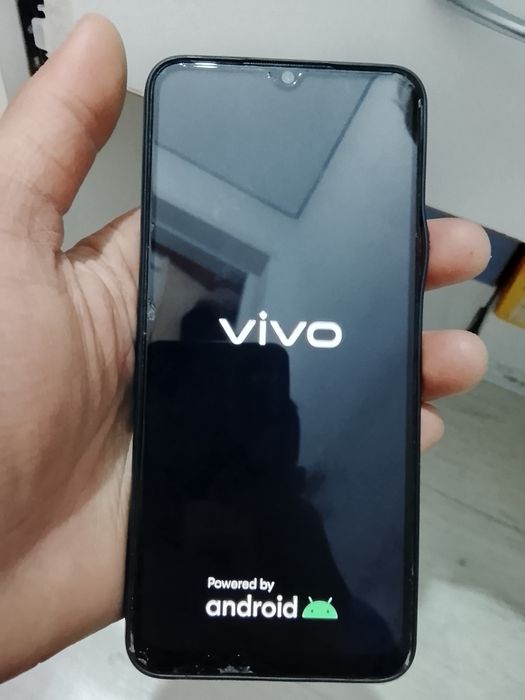 Срочно продам виво