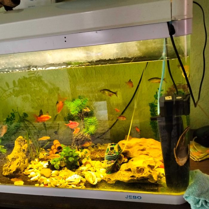 Продается красивый аквариум