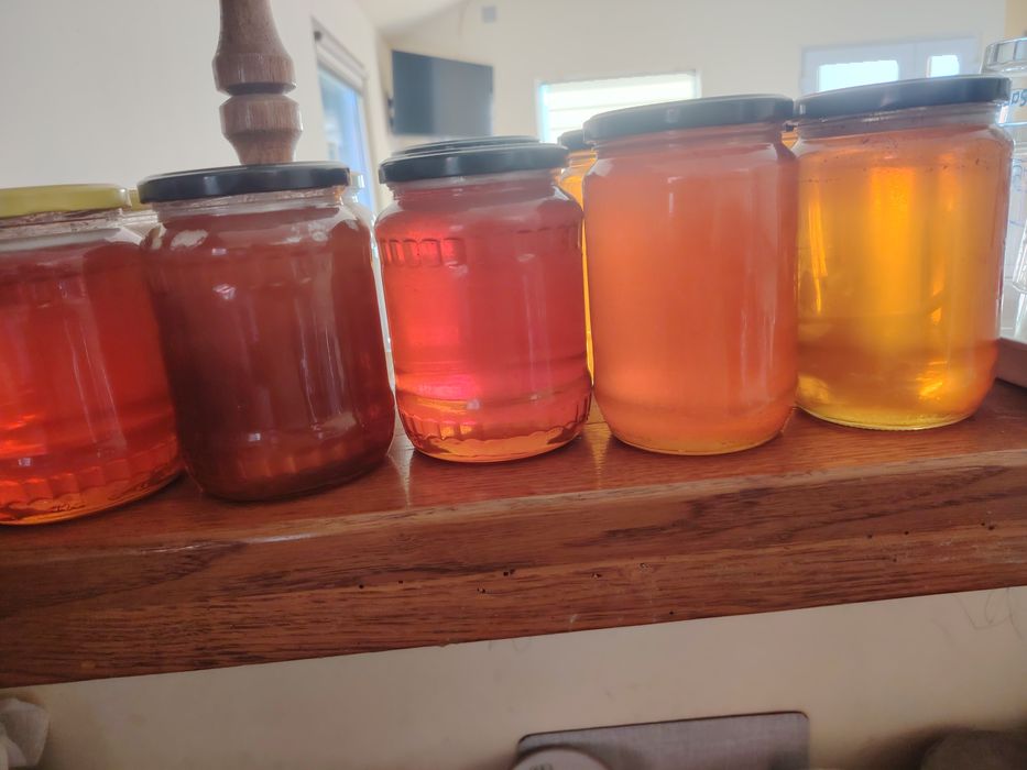 Vând miere polifloră de toamna