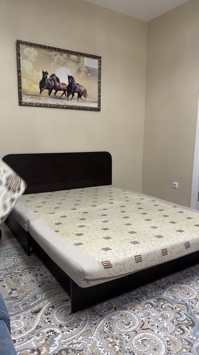 Раскладной диван