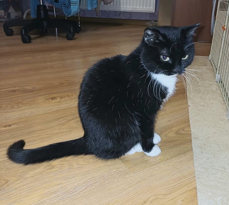 Ласковая и обаятельная мадмуазель с гарантией качества