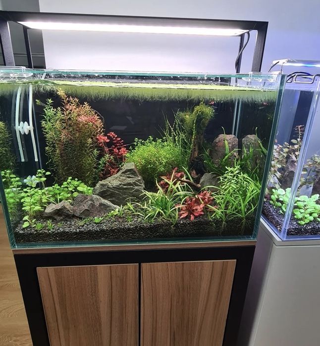 WRGB Светильникиl травник