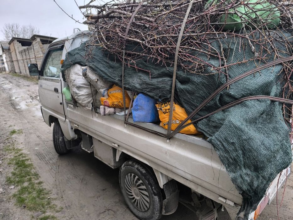 Вывоз мусор и строй мусир мусора