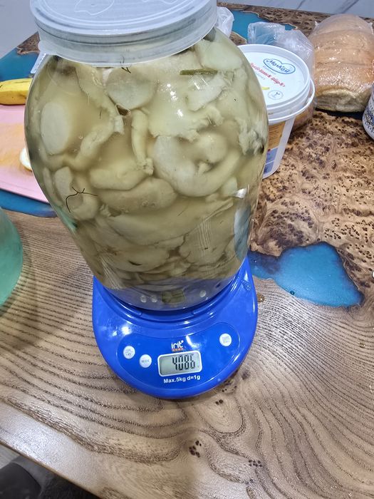 Грузди  соленые  с чесноком