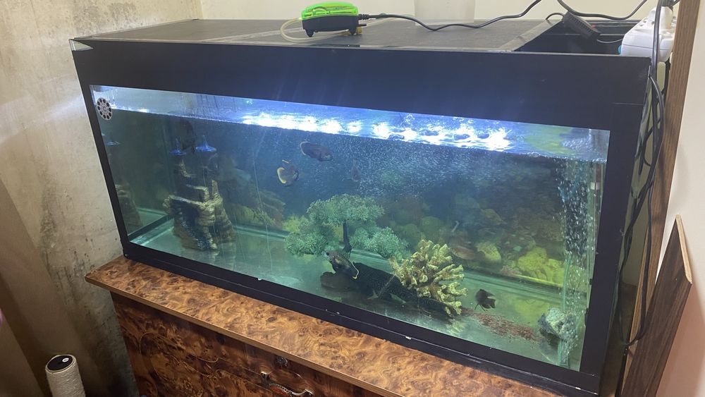 Продам комплект аквариум с рыбами в комплекте